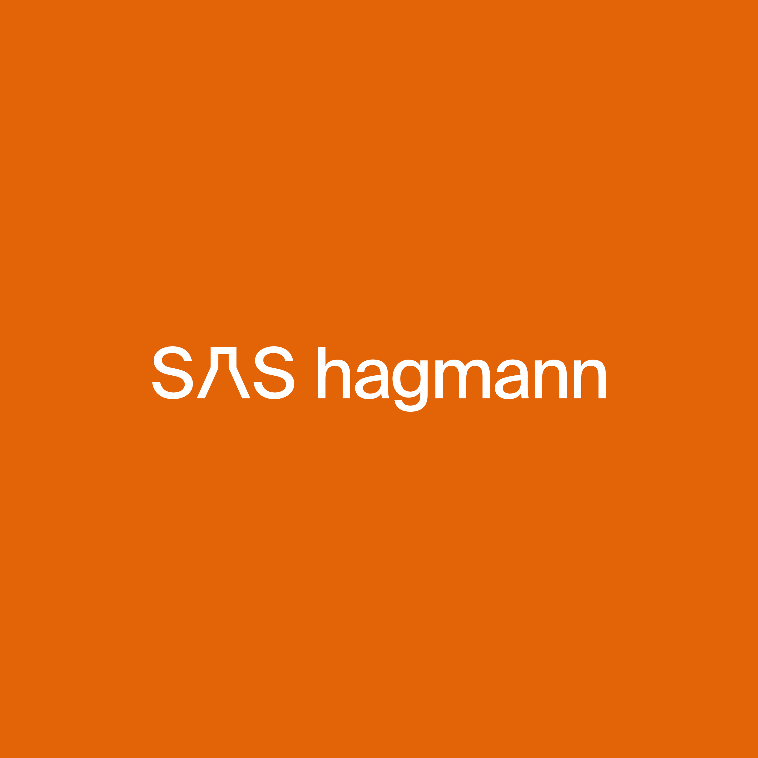 SAS hagmann GmbH & Co. KG logo