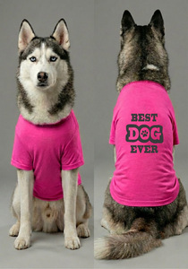 Camiseta Premium de Algodón para Perro en Color Rosa, Diseño de Cuello Redondo, Suave, Cómoda y Transpirable, Ropa para Mascotas en Oferta - Product Image 2