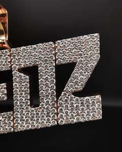 Joyería Hip Hop Unisex, Colgante Personalizado con Letra, Plata de Ley 925, Chapado en Oro, Diamante VVS, Número, Nombre, Inicial, Logotipo, para Fiesta - Product Image 2