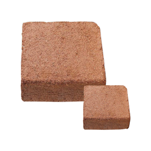 Best choice cocopeat for plant sprouting <b>soil</b> improvement used for cultivation healthy root growth nutrients for all plant types - Product Image 1