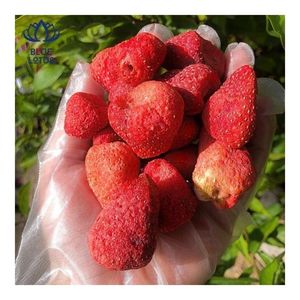 Expédition rapide 2026 Fraises lyophilisées, collation légère pour smoothies et garniture de desserts - Product Image 6