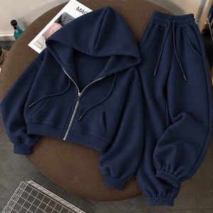 2026 <b>Women</b>’s Light Blue Zip Up Hoodie <b>Jogger</b> Set Two Piece <b>Fleece</b> Tracksuit Casual Sportswear Sweat Suit Wholesale - Product Image 2