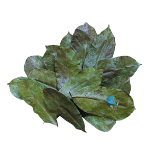 Feuilles de corossol séchées infusées de la puissance GUANABANA et GRAVIOLA certifiées biologiques et naturelles - Product Image 1