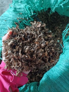 <b>Dried</b> Mesona Leaves Vietnam <b>Grass</b> Jelly Leaves Natural Black <b>Grass</b> Jelly Leaf for Herbal Drink Cooling Dessert Jelly Production - Product Image 3