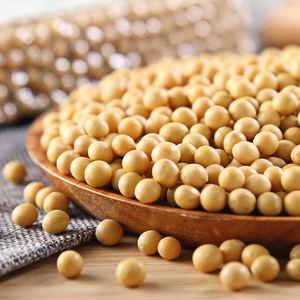 Soja jaune en vrac de qualité alimentaire supérieure pour le commerce de gros international - Product Image 5