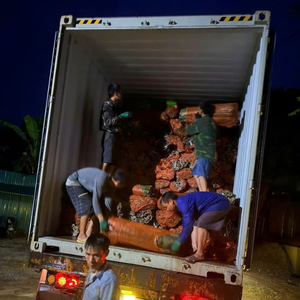 PALO DE BAMBÚ DIVIDIDO EN DOS MITADES, DIRECTO DE FÁBRICA EN VIETNAM - Product Image 4