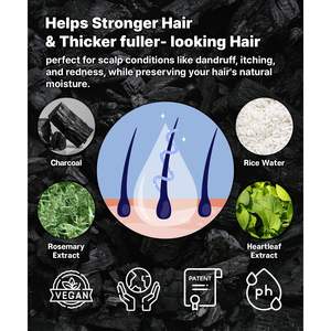 ERIGERON Black Charcoal Vegan Hair Cleanser para cuero cabelludo graso y sensible - Product Image 3