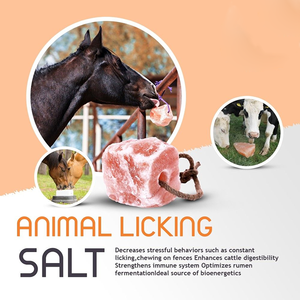 Sel rose de l'Himalaya pour le bétail, complément alimentaire minéral naturel pour animaux, vente en gros en vrac - Product Image 2