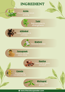 Poudre de henné Mehndi Premium – Formule à teinte foncée, qualité artistique pour le corps, poudre fine triplement filtrée - Product Image 4