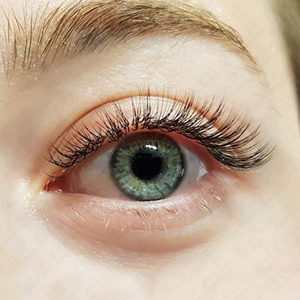 Professional 6D Volume Eyelash Extension Tweezers with Blue Titanium Coating Stainless Steel Lash <b>Tools</b> for Pros - Product Image 2