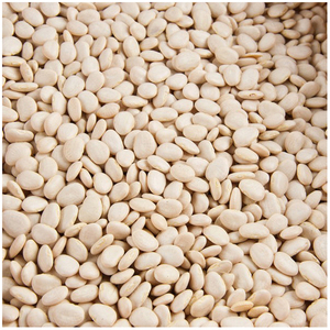 Frijol pequeño Lima bien seleccionado, color marrón natural - Product Image 5