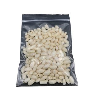 Prix d'usine Vente en gros Sac à fermeture éclair fabriqué au Vietnam Grande solution de stockage en plastique personnalisable pour les aliments - Product Image 1