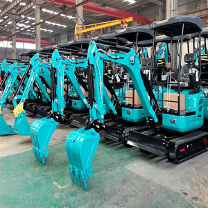 Mini Excavadora Agrícola de Orugas en Oferta: Motor, Caja de Cambios y Bomba CE EPA. ¡Compra Rápida, Entrega Inmediata, Calidad Premium! - Product Image 2