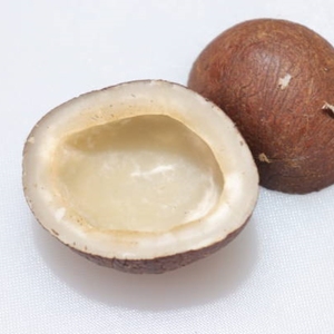 Noix de coco sèche entière maturée, noix de coco brune naturelle séchée, approvisionnement en vrac pour la distribution en gros et l'industrie alimentaire - Product Image 5