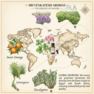 Aceite Esencial de Geranio Destilado al Vapor para Perfumes, Fabricación de Jabones, Formulaciones de Cuidado Personal, Grado Cosmético, Suministro a Granel, OEM, ODM - Product Image 6