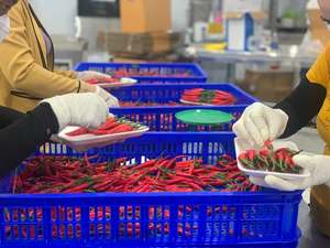 Frozen <b>Red</b> <b>Hot</b> Chili Pepper Whole Food Grade - Product Image 2