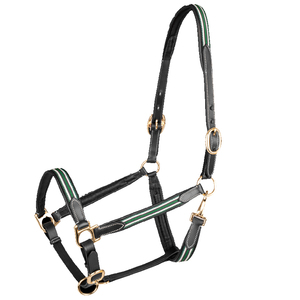 Harnais de cheval en cuir rembourré, de qualité supérieure, populaire, luxueux, élégant, parfait, réglable et tendance - Product Image 1