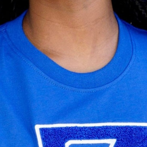 T-shirt décontracté en chenille Zeta Phi Beta Big Z pour femme, bleu, avec lettres grecques brodées, pour sororité - Product Image 2