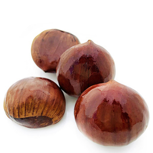 เกาลัดสดแบบดิบ ออร์แกนิก แกะเปลือก อบสุก - Product Image 2