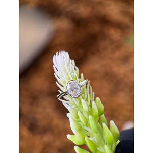 Bague de fiançailles en or 14 carats avec diamant ovale de 2 carats cultivé en laboratoire, alliance minimaliste solitaire pour femme - Product Image 4