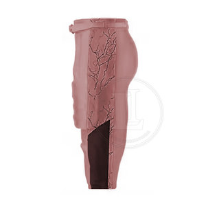 Fabriqué au Pakistan, uniforme de football américain respirant de haute qualité, couleur personnalisée pour la vente en ligne - Product Image 6
