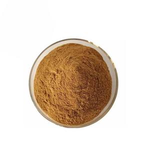 Polvo de Saw Palmetto 100% Puro de Grado Alimenticio a Granel, Calidad de Exportación, Polvo de Palma Enana Natural, Proveedor a Granel de la India - Product Image 5