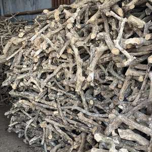 Jouet à mâcher en bois de café durable pour chiens, bâtonnets à mâcher sains pour animaux de compagnie, favorisent des habitudes de mâchage fortes pour toutes les races de chiens - Product Image 4