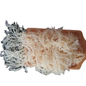 มอสทะเลจากเวียดนามขายส่ง100% ธรรมชาติที่ดีสำหรับผิวที่มีคุณภาพและราคาต่ำจากโรงงานจำนวนมากยินดีต้อนรับ! - Product Image 5