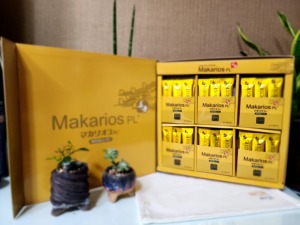 [GW] MAKARIOS PL+ Poudre de champignons médicinaux et base de riz brun germiné & Complément Premium K-Wellness - Product Image 1