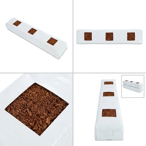 Low Cost High Quality Disposable Biodegradable Plastic Strawberry Grow <b>Bags</b> for Hydroponic Greenhouse Agriculture Seedling - Product Image 2
