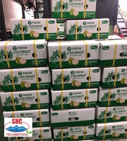 Verse jonge kokosvlees, zoet tropisch fruit, witte pulp, bulk levering voor foodservice en dranken