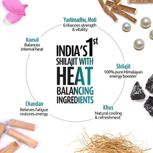 Resina de Extracto Herbal Zandu Shilajit Cool Rush, Cultivada en Naturaleza, 99% Pura, Grado Alimenticio, Botella de 10 Gramos - Product Image 2
