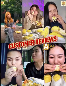 <b>Durian</b> <b>Fresh</b> Sweet Golden Flesh Thailand Frozen Pulp Premium Export Quality <b>Fresh</b> King of Fruits Monthong 500g 14-Day Shelf Life - Product Image 3