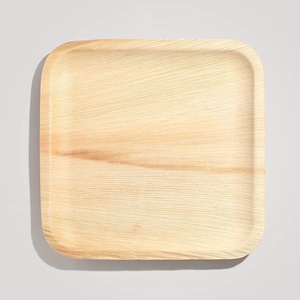 Assiettes de luxe en feuilles de palmier naturelles, 8 pouces, carrées, pour événements et célébrations haut de gamme, assiettes pour gâteaux d'anniversaire et desserts - Product Image 1