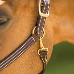 Horsekraft Export Quality English Leather Durable Triple Stitched Comfortable Halter with Brass Hardware for Horse Riding - Product Image 3