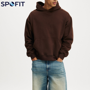 Sweat-shirts à capuche d'hiver en molleton technique 100 % coton épais de haute qualité pour hommes, personnalisables avec logo, vente en gros 2026 - Product Image 2
