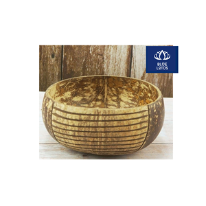 Tazón de Cáscara de Coco Ecológico, Seguro y Limpio, Producto Vegetal Puro, Ideal para Servir Ensaladas y Açaí, Precio Directo de Fábrica - Product Image 1