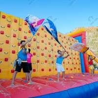 Mur d'escalade gonflable portable en PVC pour team building, vente en gros, Vietnam Thuy Linh, toutes saisons, installation facile en 5-10 jours, livraison sécurisée