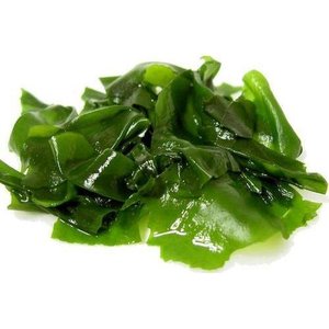 Algues vertes séchées les plus vendues, transformées au Vietnam, conformes aux normes de l'industrie alimentaire, export en gros, fournisseur vietnamien - Product Image 1