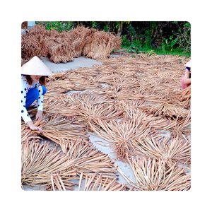 Jacinto de agua seca natural para la producción de cestas y decoración del hogar | Precio barato al por mayor | Respetuoso con el medio ambiente - Product Image 3