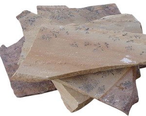 Pavés en pierre de grès menthe fossile GROCON |   Pierre naturelle pour jardin et terrasse |   Fournisseur et exportateur indien - Product Image 1
