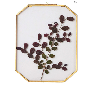 Cadre photo géométrique hexagonal en métal et verre, finition laiton de qualité supérieure, pour fleurs pressées et plantes séchées - Product Image 2