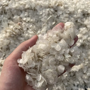 Escamas de Pescado al por Mayor, Materia Prima Marina a Granel para el Mercado de Exportación - Product Image 1