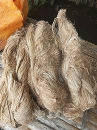 Fibra de Piña para la Producción de Hilos y Telas - Ecológica, Renovable y Biodegradable - Product Image 3