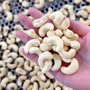 Oferta Especial: Nueces de Anacardo (Kaju) SANTIGO a Bajo Precio y con MOQ Bajo - Product Image 1