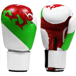 Econex Sports Maroon Leather Boxing Gloves <b>Hook</b>-and-Loop Closure Full Finger Adult Training Gear Customized - Product Image 4