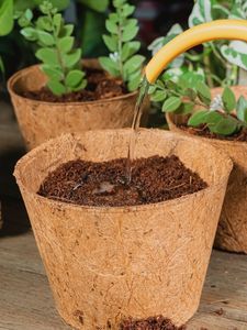 Sustainable Coconut Husk <b>Planting</b> Pot Engineered for Seed Starting and Moisture Controlled Growth - Product Image 1