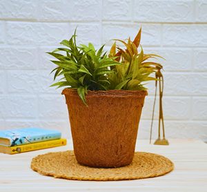 Pot de semis en fibre de coco biodégradable, écologique, pour pépinière - Product Image 5
