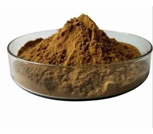 Poudre d'extrait pur de racine de Coleus Forskohlii, ingrédient botanique naturel à base de plantes pour les compléments alimentaires et les formulations de bien-être - Product Image 2