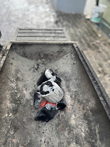 [HALABAN CHARCOAL] 100% HARDWOOD FOR RESTAURANT <b>BBQ</b> - BIWOOD COMPANY +84973101511 - Product Image 5